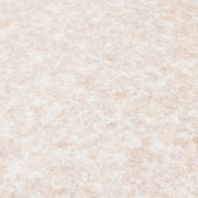 Купить Линолеум бытовой "Эко Шатель 531" 2,5м недорого Линолеум бытовой "Эко Шатель 531" 2,5м