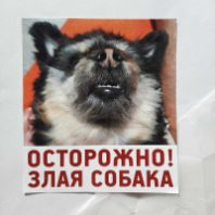 Наклейка "Осторожно злая собака" 0,13х0,15