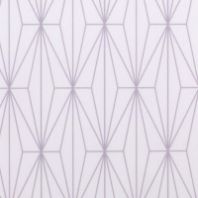 Штора рулонная Print 70х160см Мактрэл серый